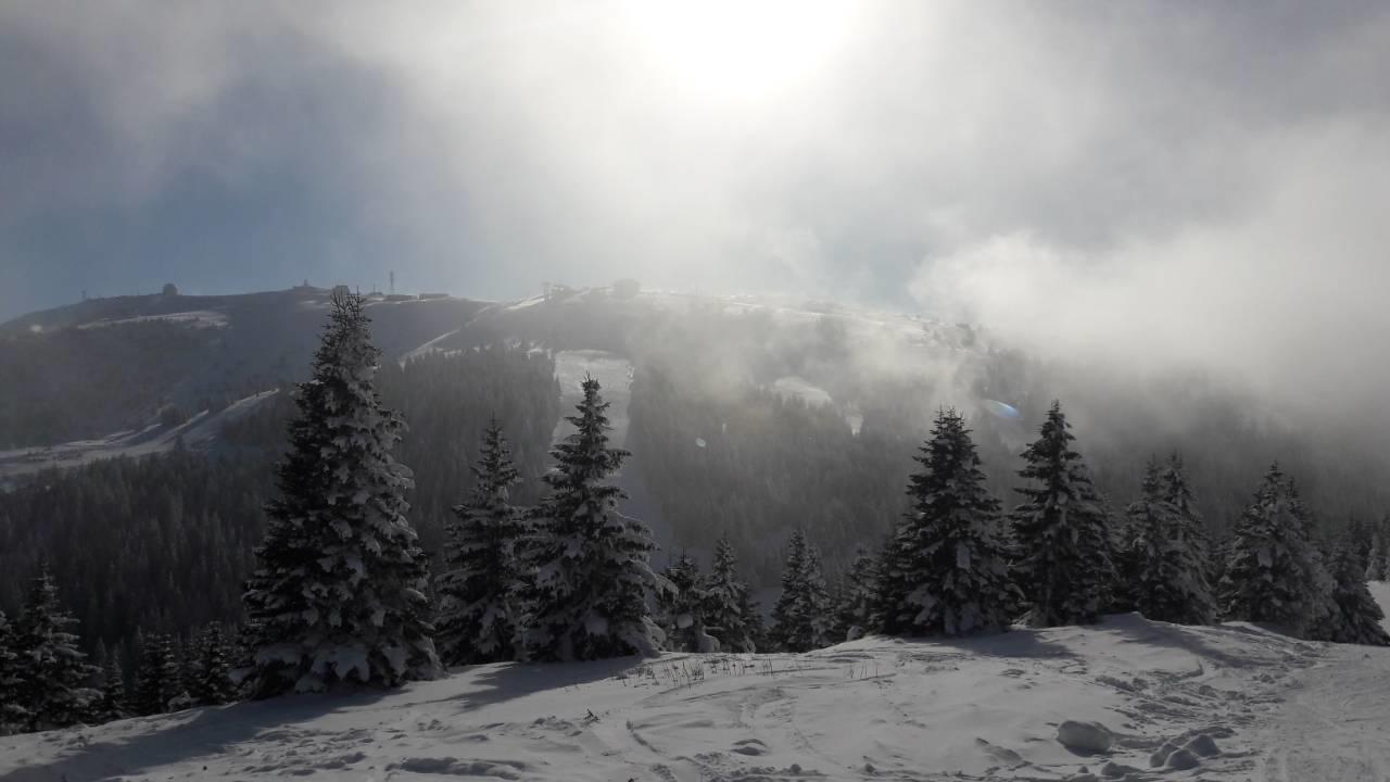 Lux Apartman B1 Milmari Kopaonik Eksteriør billede